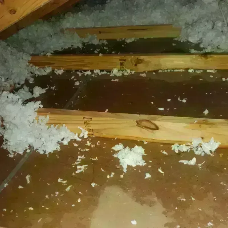 Attic Water Damage in Welcome, NC