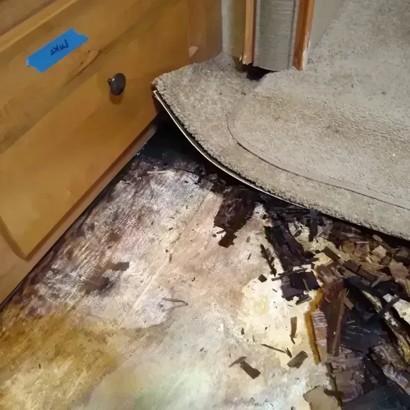 Wood Floor Water Damage in Welcome, NC